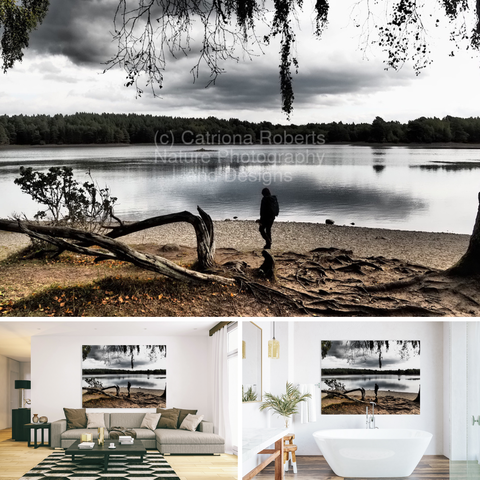 Above coloured photograph featuring the design- 

Solitary Walk by Loch Vaa.

Lower left design on a Canvas Print on a wall above a couch. 

Lower right design on a Canvas Print on a bathroom wall.

I took this photo, using a creative filter, during a lovely autumnal nature walk around Loch Vaa in the Scottish Highlands. 

Features a person walking along the tranquil loch side surrounded by Birch and Pine trees. 

The overcast sky adds a moody atmosphere to the serene setting. 

Mockups combined in a grid format in canva.com

Click links on the main post for options.