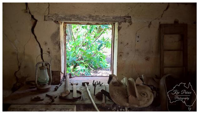Interior shot of a rustic, stone room at Langmeil Winery looking out through a small window opening overgrown with bright green foliage.  The cracked window sill is cluttered with antique objects, including a rusty kerosene lantern on the left, an old saddle on the right, and various weathered metal farming tools.