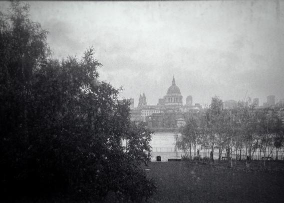 A black-and-white photograph taken from the Tate Modern looks out across the River Thames toward the London skyline. In the distance, St. Paul’s Cathedral dominates the scene with its large, unmistakable dome rising above the surrounding buildings. The cathedral appears slightly softened by the misty, overcast weather. The Thames stretches horizontally across the image, its surface muted by the rain and low light. On the near side of the river, a row of slender trees stands along the riverside path, their branches bare or lightly covered, creating a delicate contrast against the water. To the left, dense foliage from a larger tree fills the foreground, forming a dark silhouette. The entire scene has a quiet, subdued atmosphere. The grainy texture and soft focus give the impression of an older film photograph, emphasizing the moody, rainy character of London as seen from the Tate Modern’s riverside vantage point.