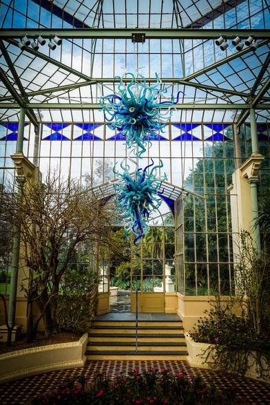 A detailed interior shot of a glasshouse with a large, ornate blue glass sculpture hanging from the ceiling. The glasshouse has a complex network of metal beams supporting numerous glass panels, creating a bright, airy space. A set of patterned tiled steps lead to a doorway in the center of the frame, flanked by potted plants on either side. The sculpture is a swirling, colorful arrangement of blue, teal, and white glass, and appears to be the focal point of the space. The floor is tiled with a diamond pattern in shades of red and gray, and the exterior landscape is visible through the glass walls. Provided by @altbot, generated privately and locally using Gemma3:27b