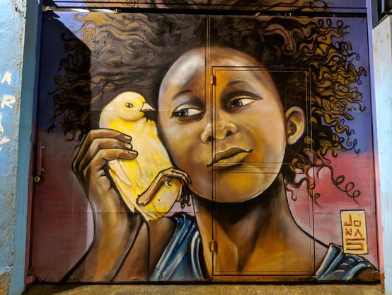 English: The image shows a mural on one of the streets of Cerro Alegre in Valparaiso, Chile by Chilean artist Jonas, who goes by the handle @jonassaliodelaballena on Instagram. The mural depicts a young black woman holding a yellow canary to her ear, as if to listen to its words.
Español: La imagen muestra un mural en una de las calles de Cerro Alegre en Valparaíso, Chile, del artista chileno Jonas, conocido en Instagram como @jonassaliodelaballena. El mural representa a una joven negra que sostiene un canario amarillo junto a su oreja, como si escuchara sus cantos.
Français : L’image montre une fresque murale sur l’une des rues de Cerro Alegre à Valparaiso, au Chili, réalisée par l’artiste chilien Jonas, connu sous le pseudonyme @jonassaliodelaballena sur Instagram. La fresque représente une jeune femme noire tenant un canari jaune contre son oreille, comme pour écouter son chant.