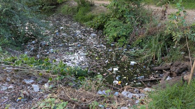 Lebensraum eines Warans in Thailand.