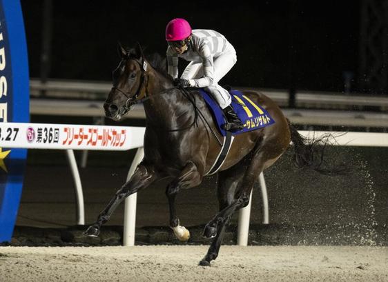 Multiple Japanese stakes winner Awesome Result has been retired