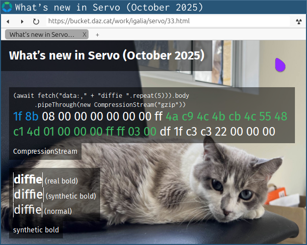 servoshell nightly showing new support for CompressionStream and synthetic bold