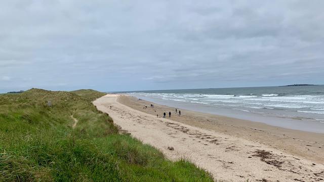 A wide sandy beach stretches along the coastline, bordered by grassy dunes on one side and the gray, rolling sea on the other. Small groups of people and dogs are scattered along the shoreline, walking near the water and leaving footprints in the damp sand. Gentle waves break in white lines as they meet the beach, while the sky is overcast with dense clouds, giving the scene a cool and muted tone. In the distance, a low island is visible offshore, and the coastline curves slightly toward the horizon, emphasizing the open and expansive landscape.