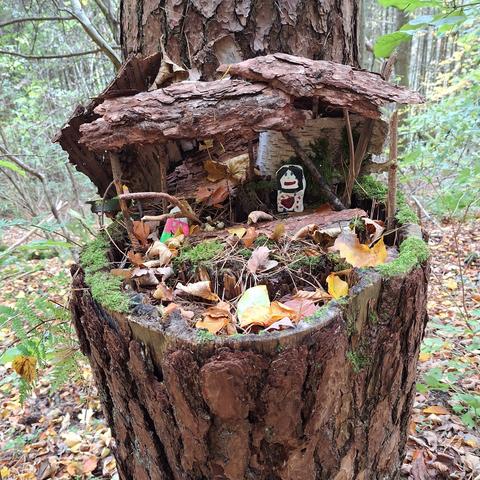 Blick auf einen „Stockausschlag“ einer Fichte mit schuppiger, hell- bis dunkelbrauner Borke. Der vordere Stamm ist abgesägt und die Oberfläche vermodert. Hierauf ist mit natürlichen Fundstücken aus der Umgebung eine spielerische Szene arrangiert. Stöcke und Baumrindenstücke bilden Pfeiler und zwei Dächer. Zwei bemalte Steine stellen einen Mann und eine Frau dar. Moose, Fichtenzweige und gelb-braunes Laubwerk dienen als weitere Ausstattung dieser „Unterkunft“. Der Rand ist bemoost. 
Im Hintergrund herbstlicher Wald mit hellbraunem, gefallenem Laub, grünen Farnen, Zweigen und Blättern und eng beieinanderstehenden, schmalen Baumstämmen.