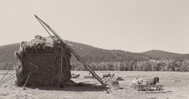 A vintage hay stacking device called a beaverslide, partially covered with hay, stands in a grassy field near a mountain backdrop. Horses are pulling a cart nearby.