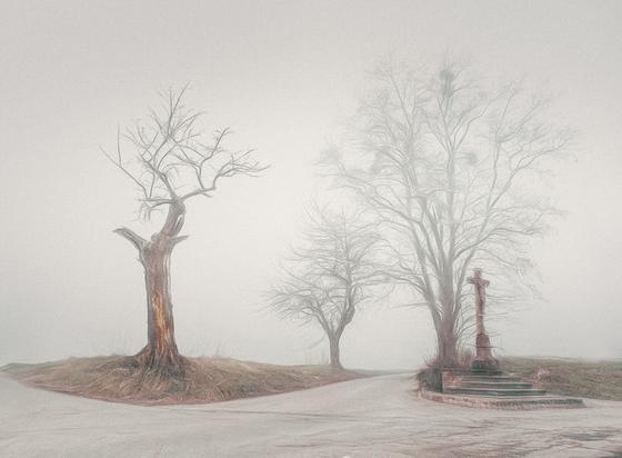 Man sieht eine Kreuzung auf einem kleinen Hügel. Links steht ein sehr alter Baum der nur noch wenige Äste an der Spitze besitzt. Rechts steht ein großes Wegkreuz mit Korpus aus Sandstein gefertigt. Dahinter steht ein großer Baum der schon im unteren Drittel seine Äste trägt, die weiter oben sich auseinander ziehen. Schemenhaft sind Misteln weiter oben zu erkennen. Links von dem Kreuz und dem Baum führet eine Strasse in das Tal. Etwas links sieht man noch einen kleiner Baum an der Strasse.