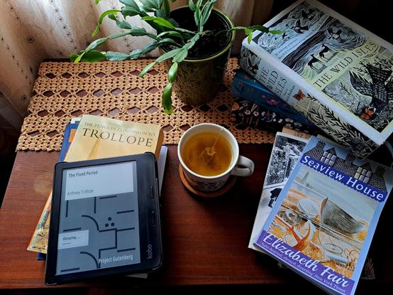 A photo of a side table with a crochet doily,a cup of tea, a plant vase, several books, and an ereader with the Project Gutenberg edition of The fixed period by Anthony Trollope on the screen.