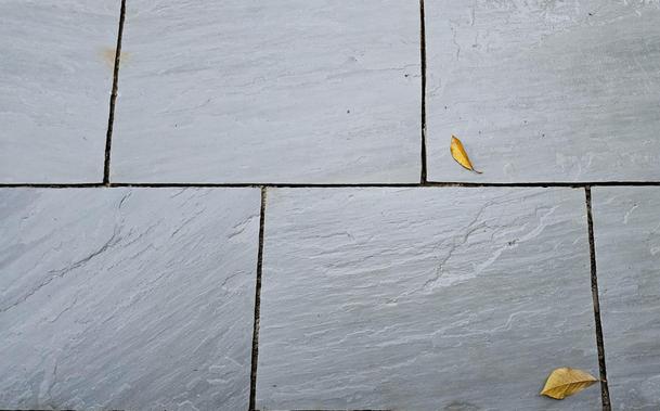 Wet, grey paving slabs, with two yellow leaves on them.