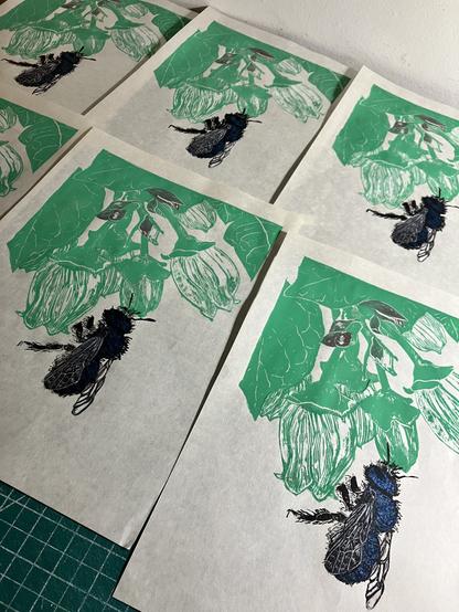 My linocut prints on cream coloured washi paper, drying on a tabletop. 6 are visible. Each shows a bunch of white blueberry flowers and leaves printed in pale green with hints of red on buds and a blue orchard mason bees on the lowest flower.