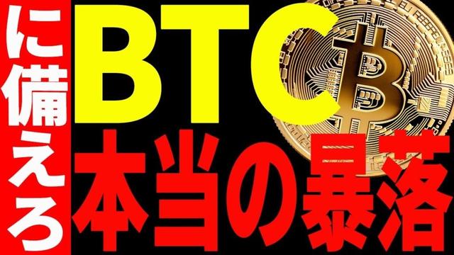 ⚠️ビットコインの本当の暴落はこれから！？⚠️今後の注目ポイント全て教えます！【仮想通貨】