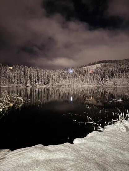 Lake the color of ink, surrounded by powdery snow clinging to pine trees.