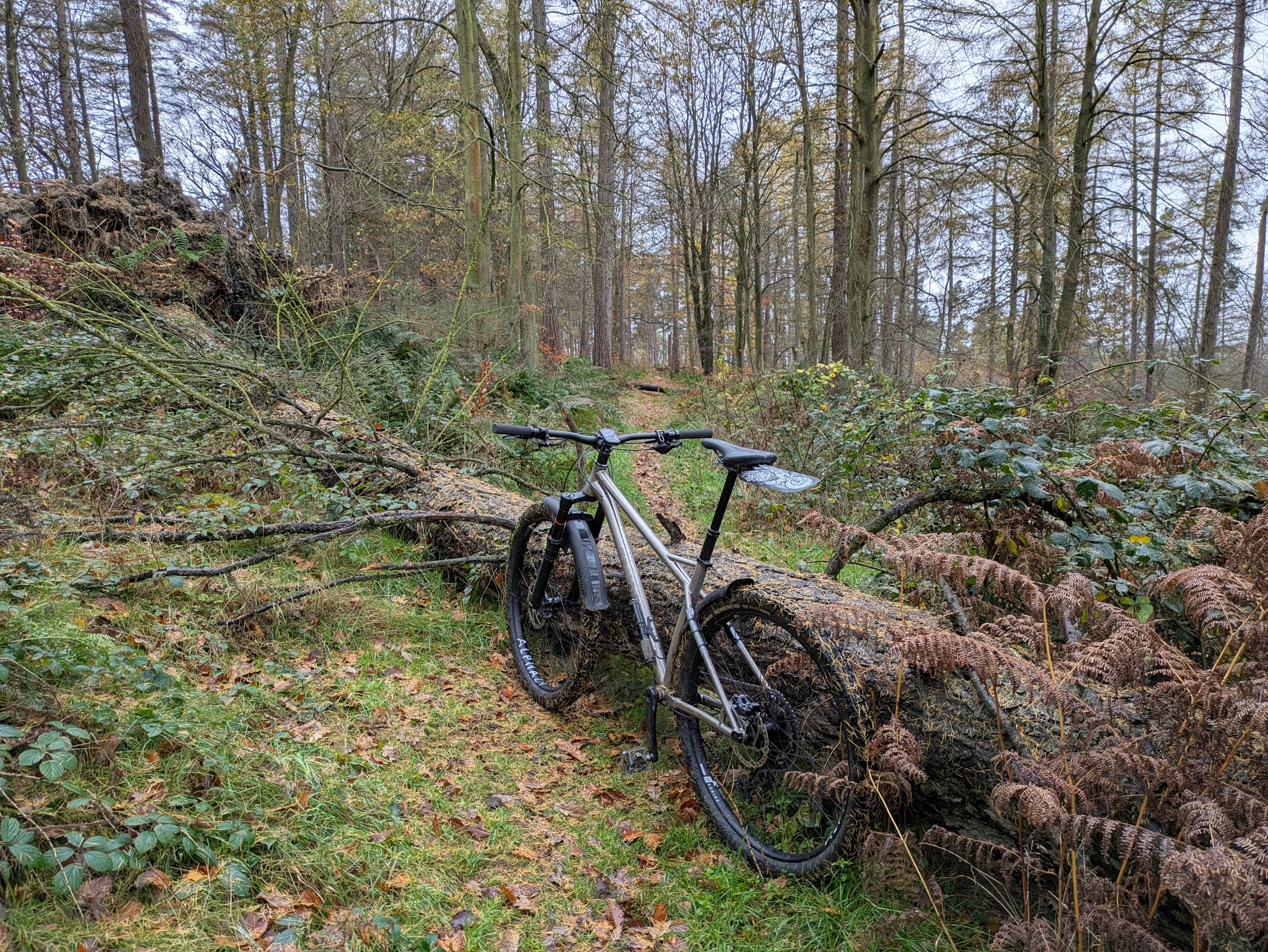 Further along the same track through some woods. There is a large tree across the track, with a mountain bike propped against it. In the background, yet another tree is across the path.