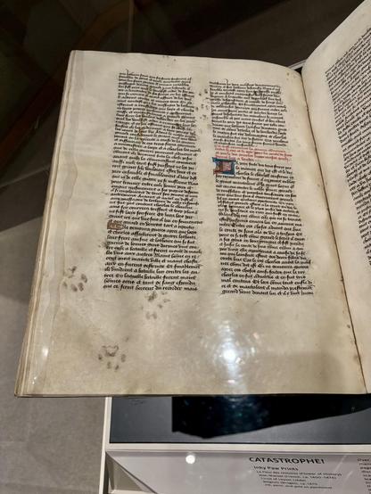 Pawprints on a European medieval manuscript