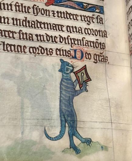 Marginal illumination of a cat playing a cymbal