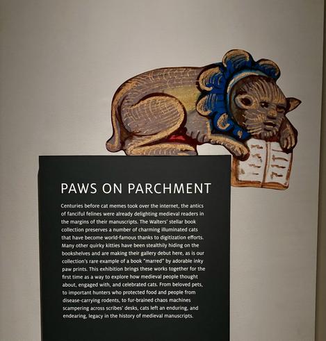 Introductory text 
PAWS ON PARCHMENT
Centuries before cat memes took over the internet, the antics
of fanciful felines were already delighting medieval readers in
the margins of their manuscripts. The Walters' stellar book
collection preserves a number of charming illuminated cats
that have become world-famous thanks to digitization efforts.
Many other quirky kitties have been stealthily hiding on the
bookshelves and are making their gallery debut here, as is our
collection's rare example of a book "marred" by adorable inky
paw prints. This exhibition brings these works together for the
first time as a way to explore how medieval people thought
about, engaged with, and celebrated cats. From beloved pets,
to important hunters who protected food and people from
disease-carrying rodents, to fur-brained chaos machines
scampering across scribes' desks, cats left an enduring, and
endearing, legacy in the history of medieval manuscripts.