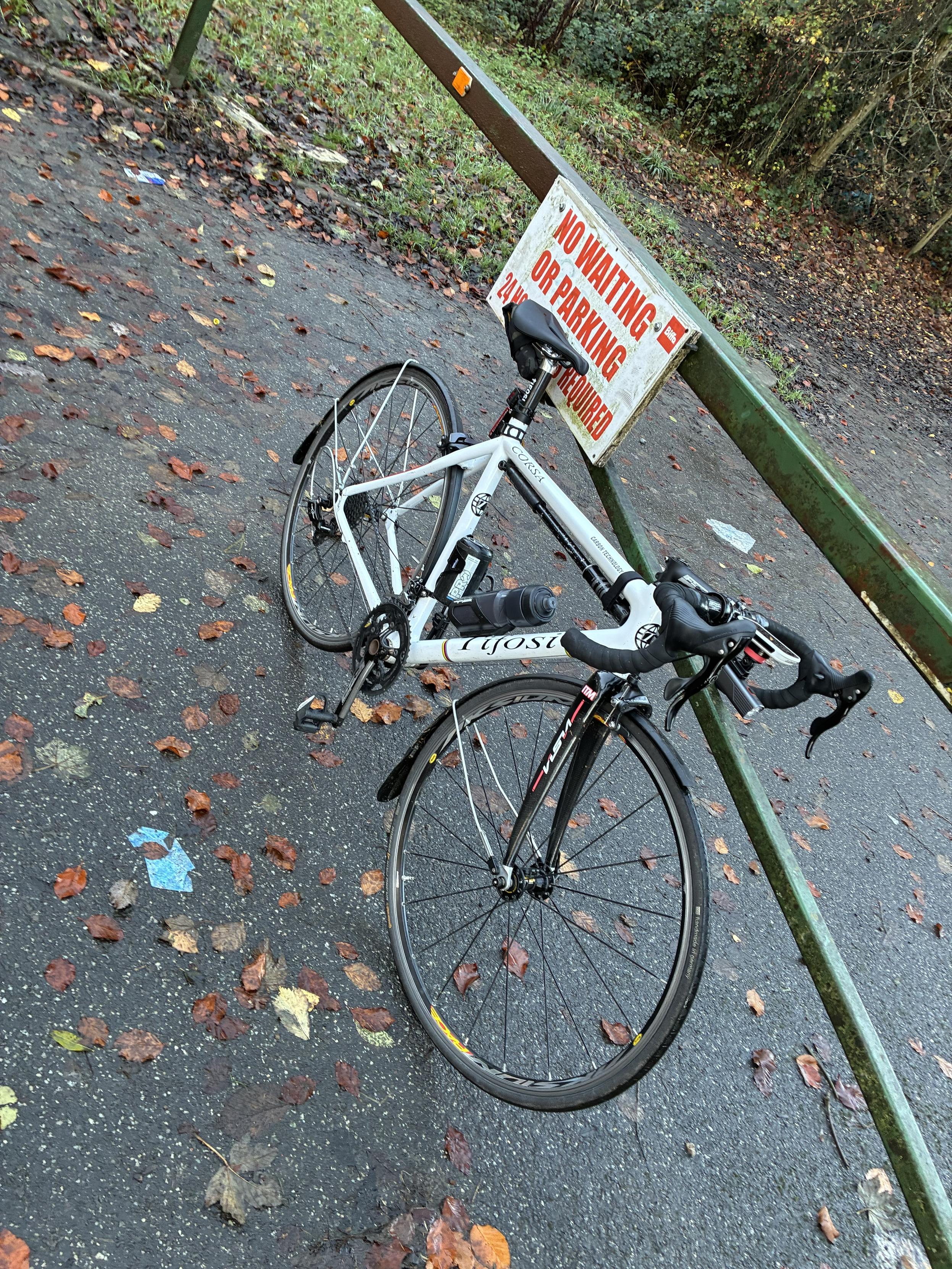 A white road bicycle is parked next to a gate with a sign that reads "NO WAITING OR PARKING." The ground is covered in fallen leaves, and the surroundings appear to be a wooded area.