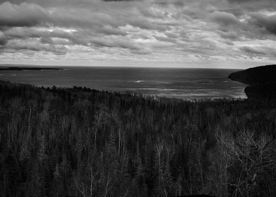 A black and white image showing a dense forest in the foreground with tall trees. Beyond the forest, a large lake stretches out to meet a cloudy sky. The scene appears calm yet dramatic, with the clouds suggesting an approaching storm.