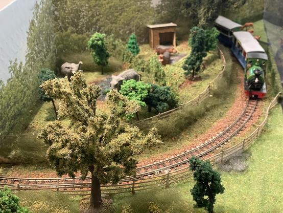 A train rounds a curve where elephants and hippos are living