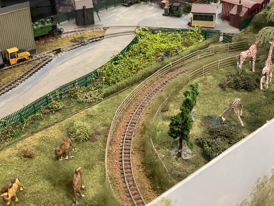 At another curve, the railway goes between camels and giraffes. One is bent over awkwardly drinking from a pool