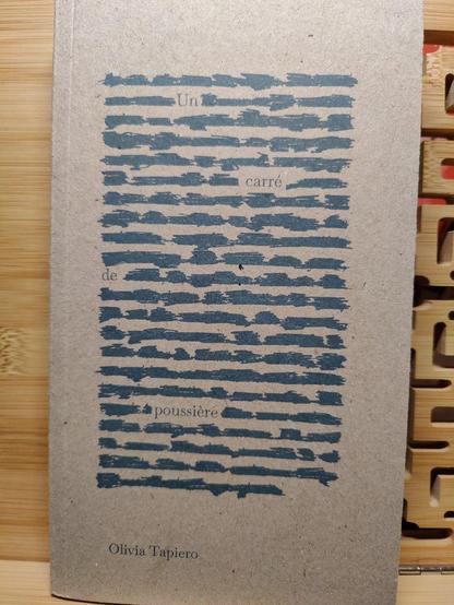 Couverture de "Un carré de poussière", d'Olivia Tapiero (éd. du commun).

Une couverture représentant des lignes de texte dans lesquelles la majorité des mots ont été noircis. Ne restent que ceux qui forment le titre du recueil : 
"...Un...
...carré...
de.....
...poussière..."