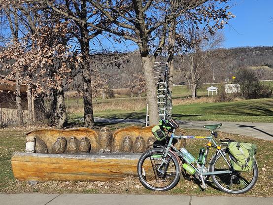 A bicycle with green bags leans against a bench whose back is sculpted into Owls. Behind are trees with brown leaves,  grass still green but fading.