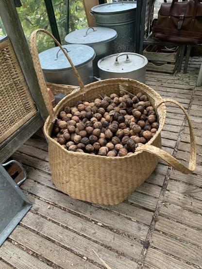 Grote tas met de walnotenoogst.