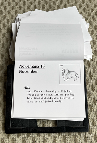 Photo of a page-a-day calendar, open to November 15 with the Hawaiian word ʻīlio. The calendar pages are falling loose from the binding. There is a black and white sketch of a collie to illustrate it. The example sentence is given: He aha ke ʻano o kāna ʻīlio? He “poi dog” kāna. What kind of dog does he have? He has a “poi dog” (mixed breed)