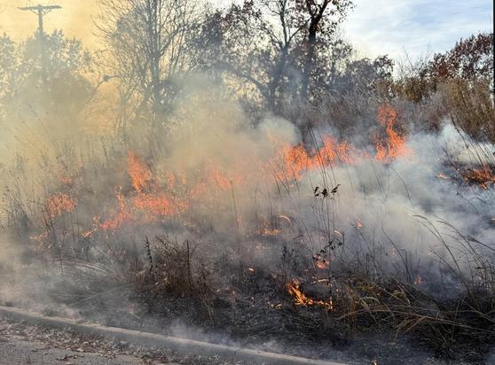 This is a view of a backing fire, one that intentionally moves against the wind