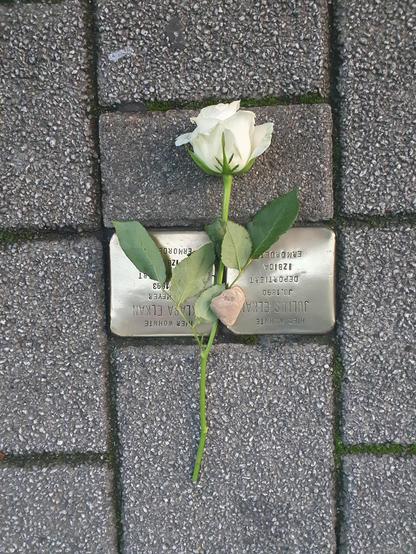 Ein Photo von 2 Stolpersteinen mit einer Rose und einem Stein 
Text:
HIer WOHNTE
KLARA ELKAN
GEB. MEYER
JG 1893
DEPORTIERT IZBICA
1942 ERMORDET
HIER WOHNTE
JULIUS ELKAN
JG.1890
DEPORTIERT
IZBICA
1942 ERMORDET