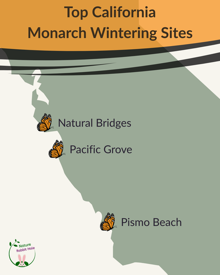 Map of California showing locations of three top California wintering sites.