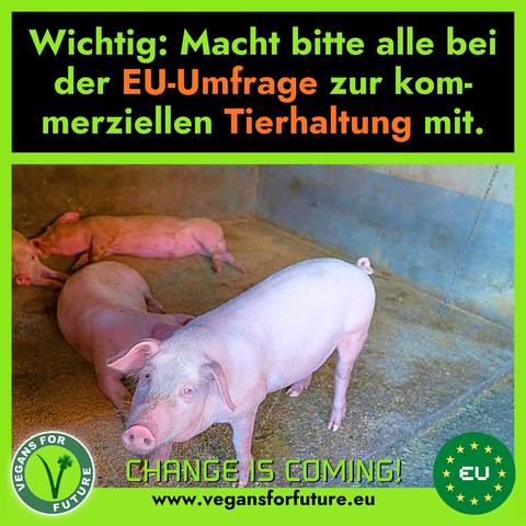 Text:
"Wichtig: Macht bitte alle bei der EU-Umfrage zu kommerziellen Tierhaltung mit."
Auf dem Bild sieht man einen Stall mit mehreren Schweinen.