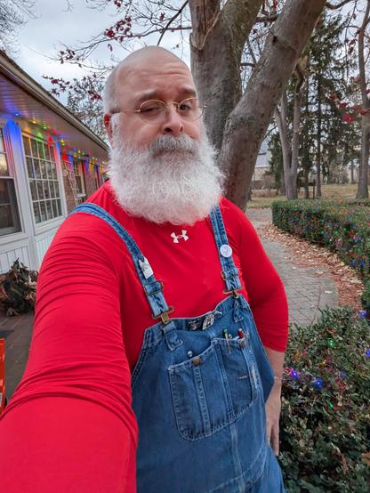 a large white bearded man in red spandex shirt and blue overalls in a front yard with xmas lights