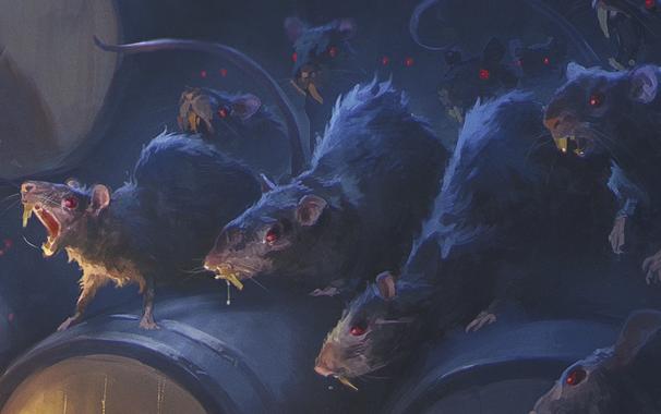 Swarm of Rats in the Dark