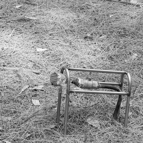 Black and white photograph of a metal water pipe component sitting on a bed of needle-like leaves. The pipe is covered by a protective framework of stainless steel tubing.