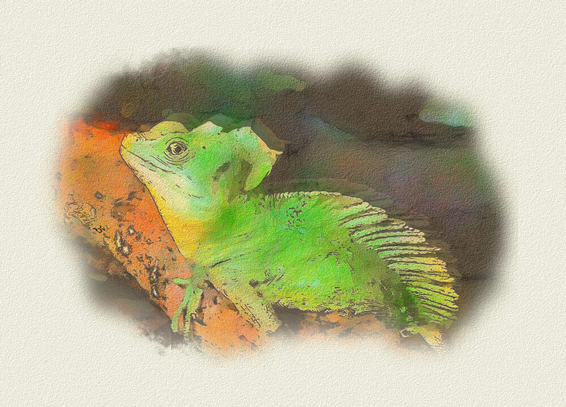 Bearbeites Foto einer grünen Echse auf einem Baumstamm, das nun aussieht wie eine Zeichnung.

Edited photo of a green lizard on a tree trunk, which now looks like a drawing.