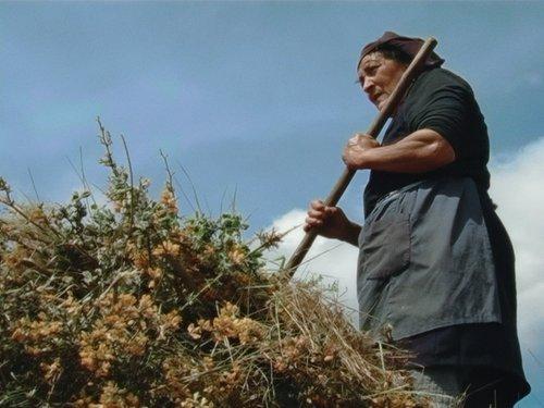 Capture d'ecran du film "terres occupées" de José Vieira