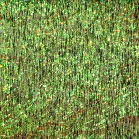 The cover art is very abstract, very textured. To me it looks like an out-of-focus projection of a photograph of trees or some other green plants onto someone's hair.