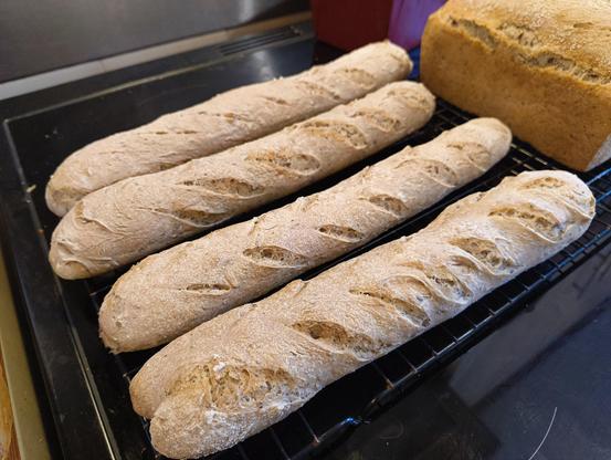 Baguettes cooling on a rack. The baguette at the front is slightly shorter but looks more plump than the others.