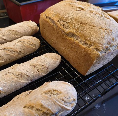 A sandwich loaf and baguettes cooling on a rack.