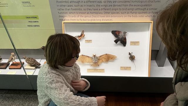 Los museos familiares están en auge