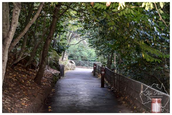 A photograph signed by Kev Peirce showing a paved walking path winding through the dense, lush foliage of Cataract Gorge in Launceston, Tasmania.  The path is enclosed by a canopy of trees and leaves, creating a shaded tunnel effect.  A metal safety railing runs along the right side of the path, leading towards a brighter, open area in the distance.