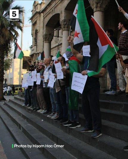 A group of protesters line the steps of a building in Damascus, holding handwritten signs and Sudanese flags