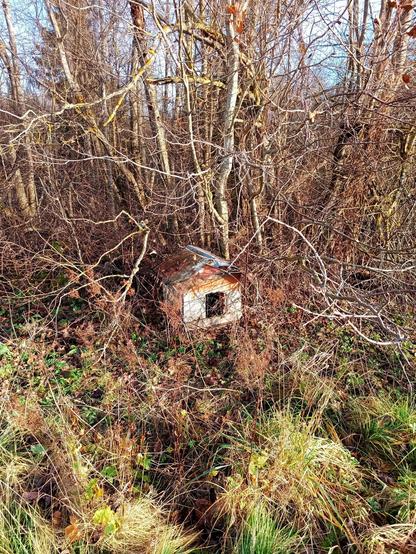 A small old dog house on the edge of the forest between some bare branches.