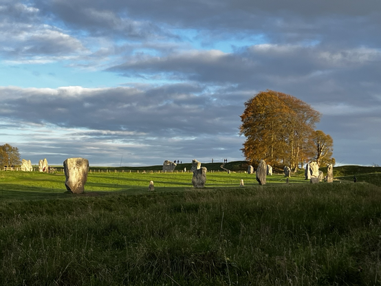 Wide shot of a dozen standing stones at Avebury.