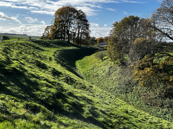 Wide shit if a bank on the left falling to a ditch on the right. Bright sun. Lush bright green grass.