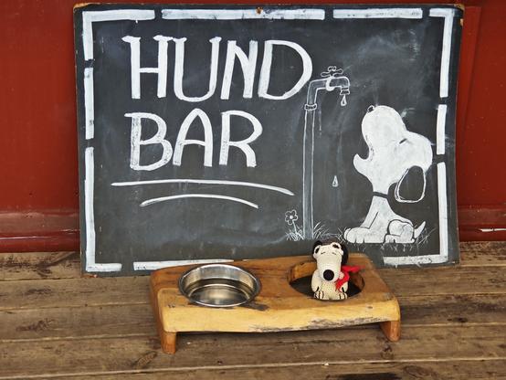 Hinter einem Trinkplatz für Hunde eine Tafel mit einem gezeichneten Snoopy, der aus einem tropfenden Wasserhahn trinkt.
In der leeren Schüssel sitzt der gehäkelte Snoopy der Fotografin, der als Reisemaskottchen dient.