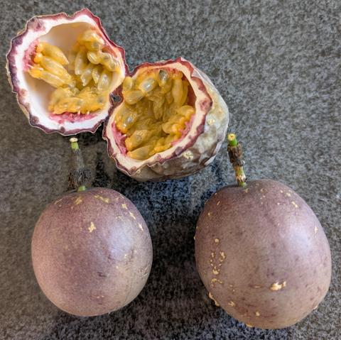 Same as the previous picture, but the wrinkled one is cut open and has yellow pulp.