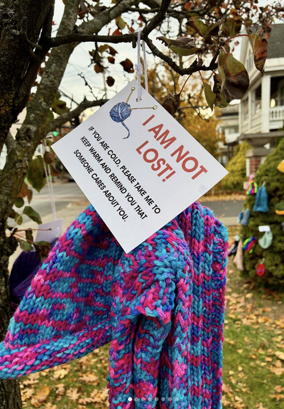A colorful scarf of blues and deep fuchsia hanging outside on a tree. There is a sign that says "I AM NOT LOST! If you're cold, please take me to keep warm and remind you that someone cares about you! In the background is another bush with various handcrafted items such as hats and mittens attached to it. Lawn with leaves and partial glimpses of homes on street. Photo by @albanynylibrary on Instagram
